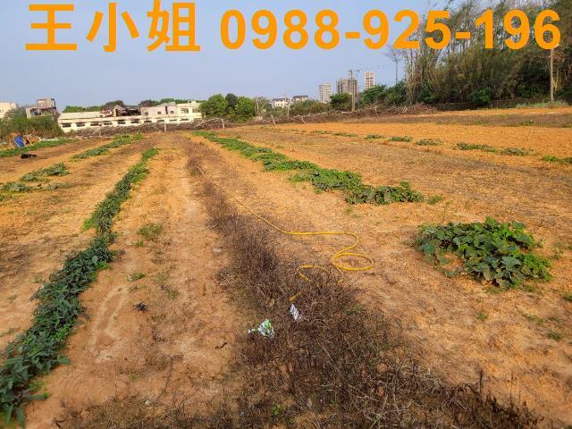 桃園中壢農地-4