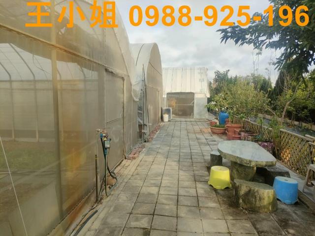 桃園中壢農地-9