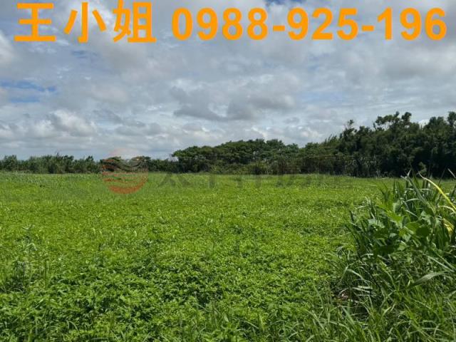 新屋農地-10