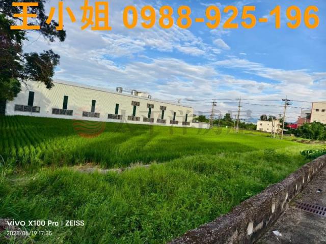 桃園大園農地-0