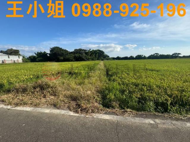 桃園新屋農地-11