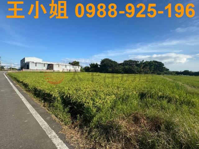 桃園新屋農地-7