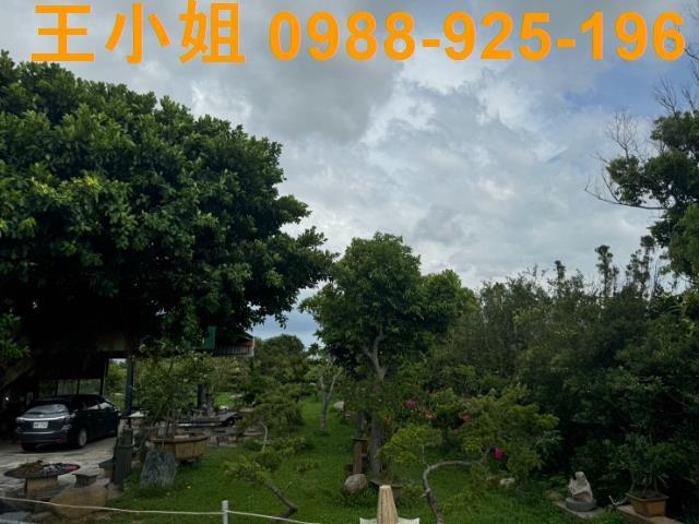 新屋農地-9