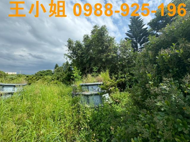 新屋農地-11