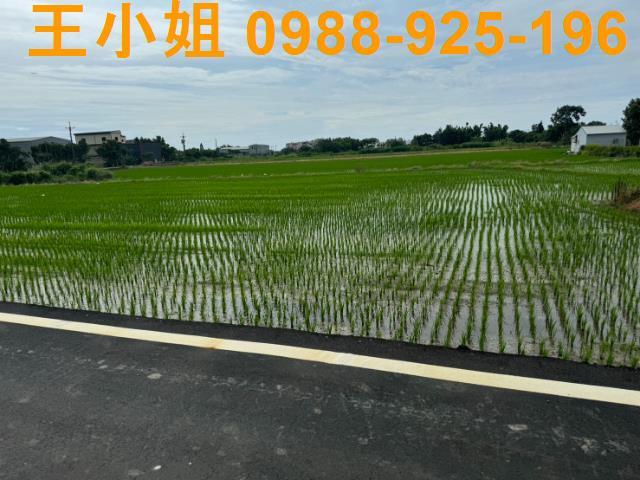 新屋農地-4