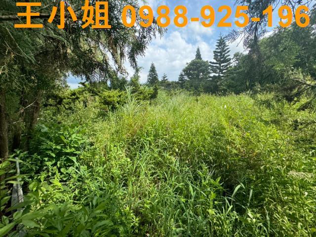 新屋農地-8