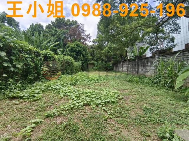 龍潭農地-9