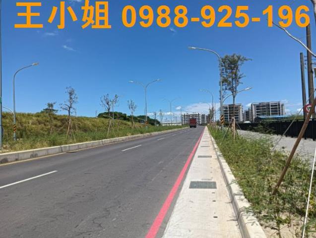 桃園大園建地-2