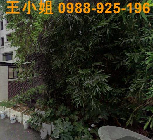 蘆竹建地-1