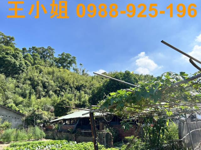蘆竹農地-10