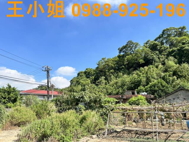 蘆竹農地-12