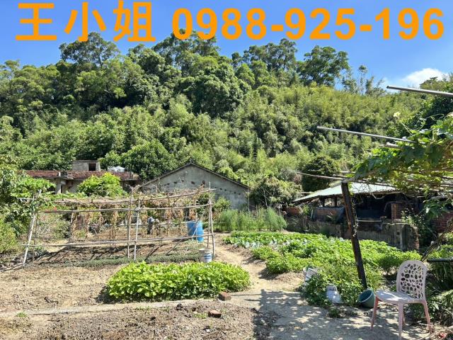 蘆竹農地-14