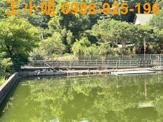 蘆竹農地-3