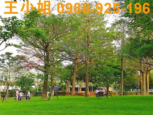 桃園建地-2