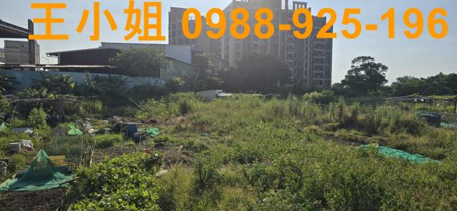 蘆竹農地-1