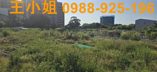 蘆竹農地-2
