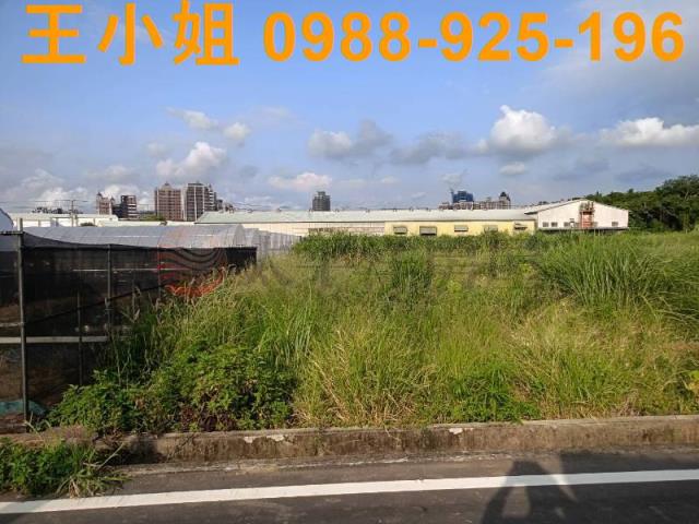 蘆竹農地-2