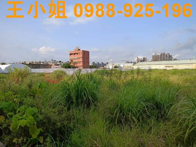 蘆竹農地-3