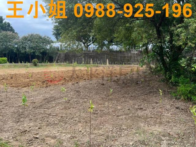 桃園農地-11