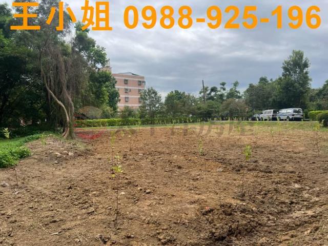 桃園農地-3