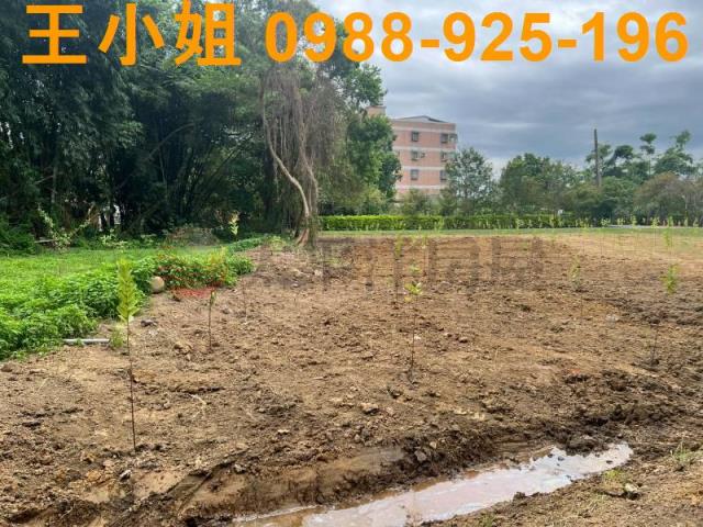 桃園農地-4