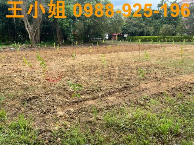 桃園農地-5