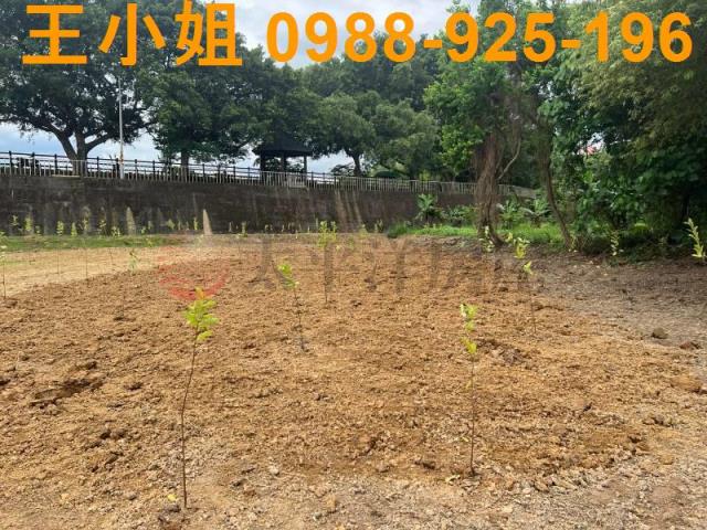 桃園農地-6