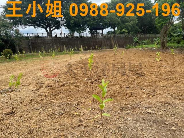 桃園農地-7