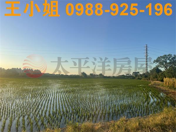 桃園平鎮農地-12