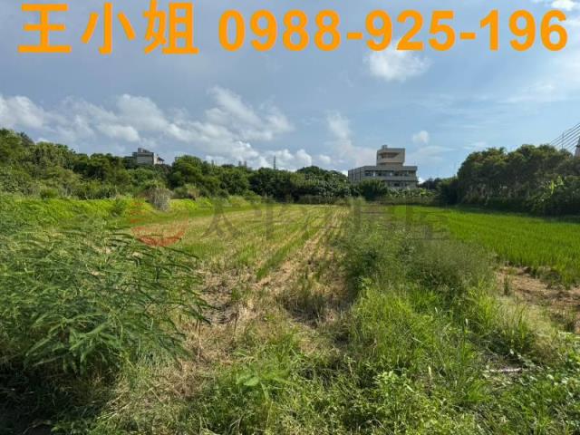 新屋農地-12