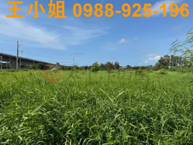 新屋農地-13