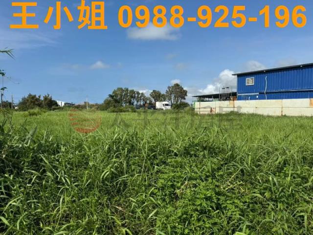 新屋農地-14