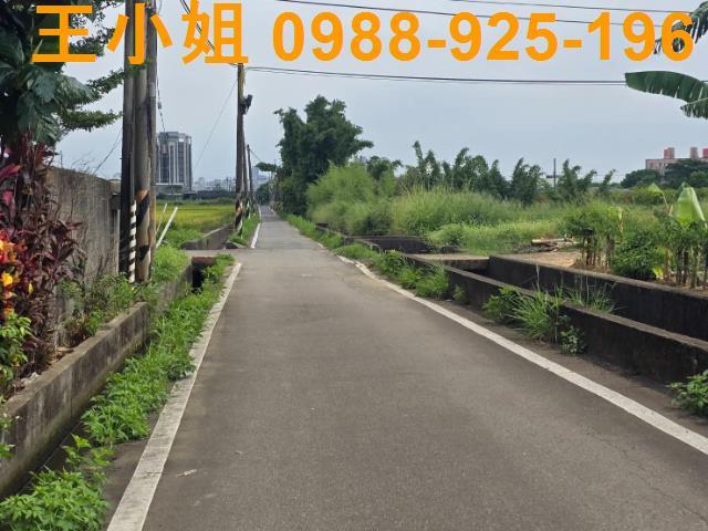 大園農地-0