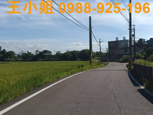 大園農地-1