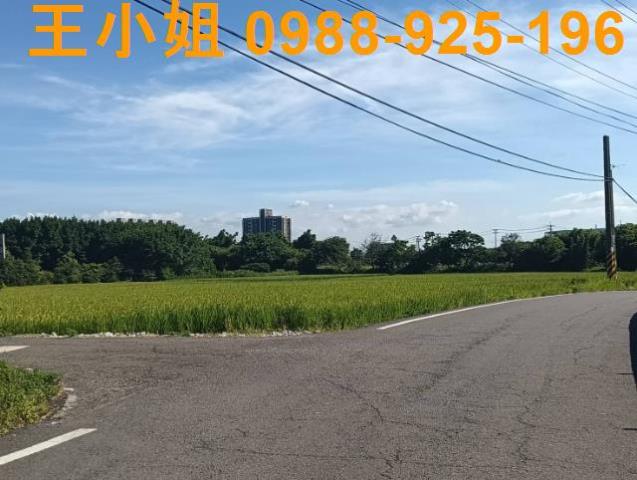 大園農地-2