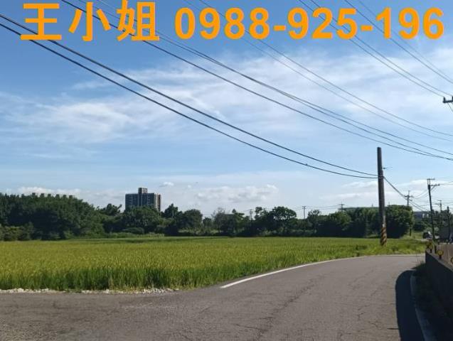 大園農地-3