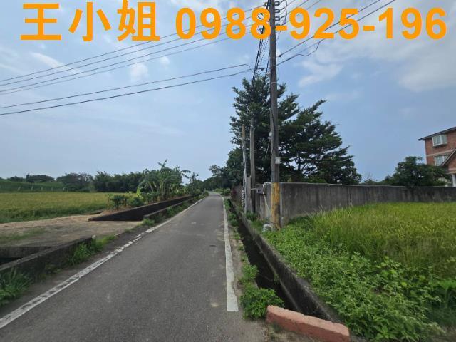 大園農地-4