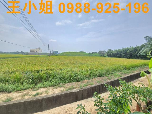 大園農地-5