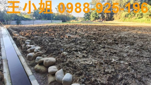 桃園農地-2