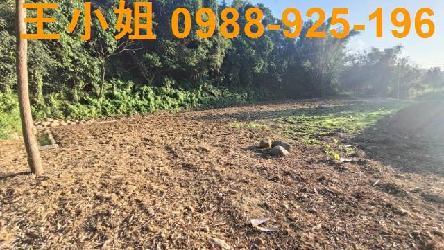 桃園農地-4