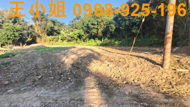 桃園農地-5