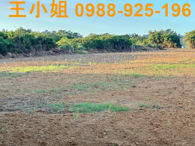 八德農地-6