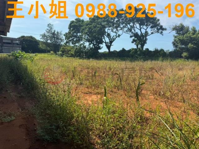 大園農地-13