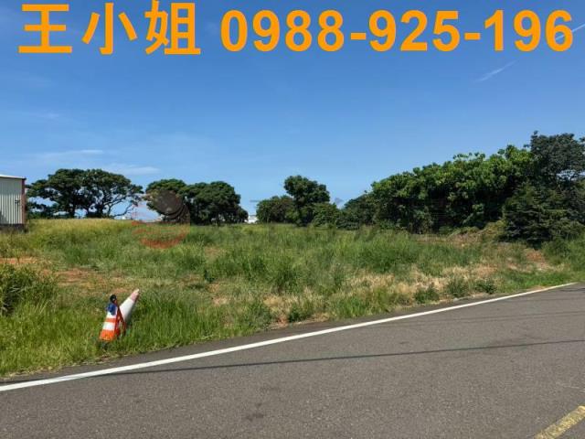大園農地-14