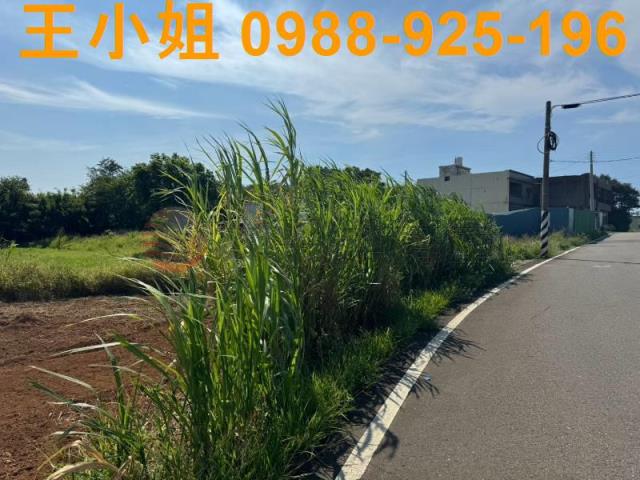 大園農地-0