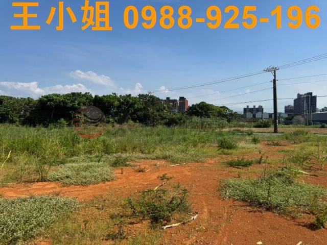大園農地-3