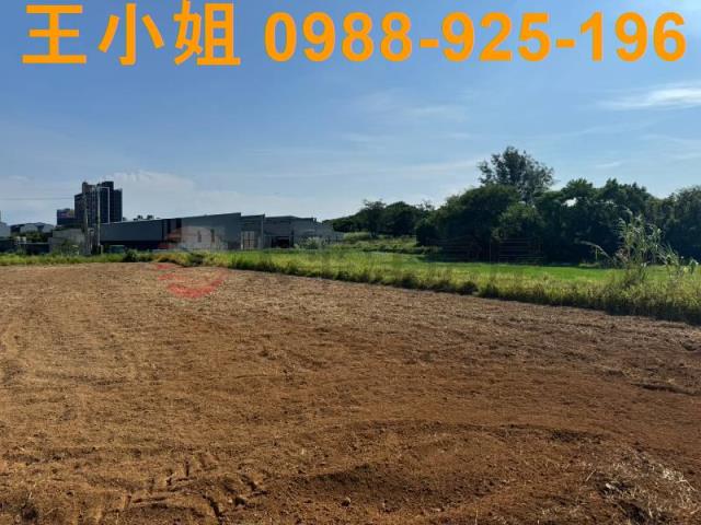 大園農地-5