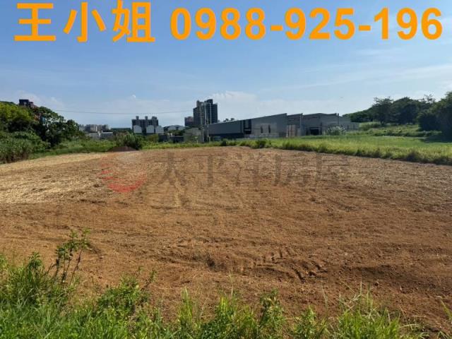 大園農地-6