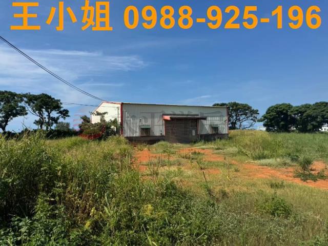 大園農地-8