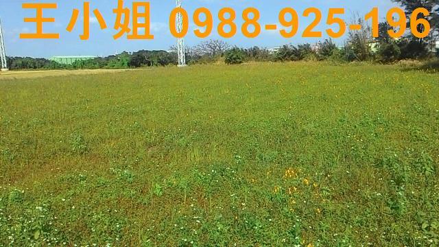 桃園新屋農地-0